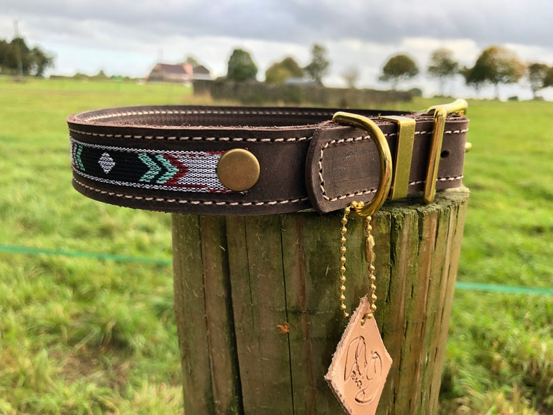 May include: A brown leather dog collar with a decorative turquoise, white and black woven band. The collar has a brass buckle and a brass D-ring. A leather tag with a bird design is attached to the collar.