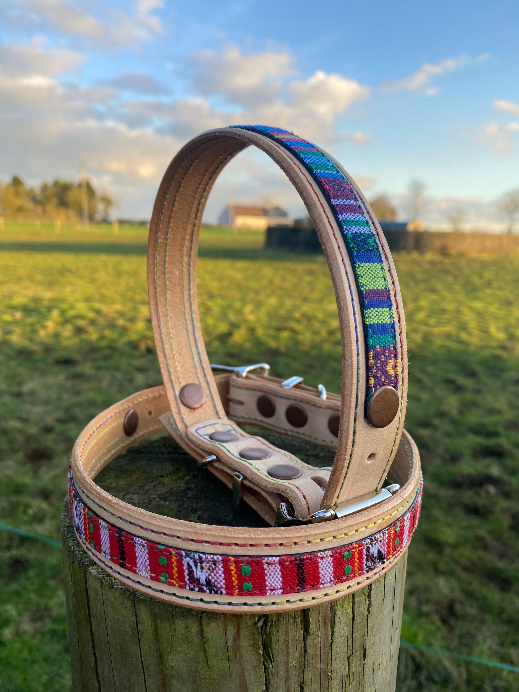Handmade Leather Dog Collar, Rainbow Webbing, Pride Awareness