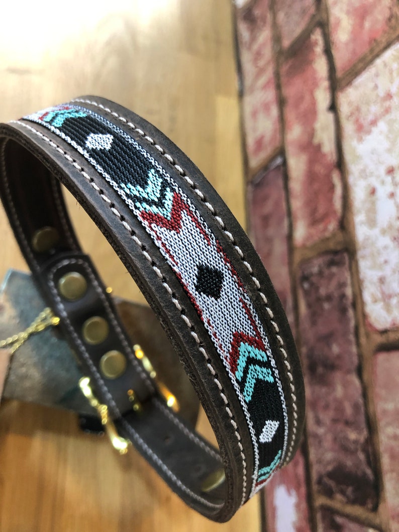 May include: A brown leather dog collar with a black, white, red and turquoise geometric patterned trim. The collar has a gold metal buckle and two gold metal D-rings.