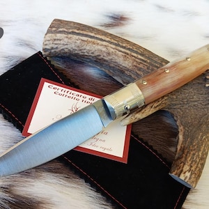 SARDINIAN ARTISAN KNIFE pattadese blade 12 cm, ram horn handle with steel core, with warranty certificate and sheath