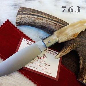 SARDINIAN ARTISAN KNIFE from Arburese da Scanno, handle in ram or buffalo horn, with warranty certificate and free sheath