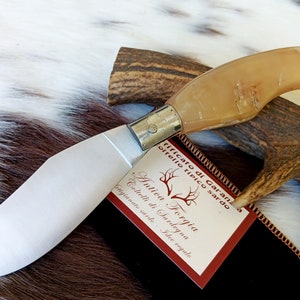 SARDINIAN ARTISAN KNIFE arburese skinning with wide blade, handle in ram or buffalo horn, with guarantee certificate and sheath