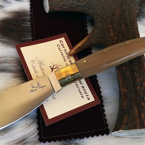 SARDINIAN ARBURESE KNIFE wide blade, bovine horn handle with steel core, with guarantee certificate and sheath, gift idea