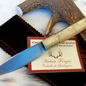 ARTISAN SARDINIAN KNIFE from Pattadese, 10 cm blade, ram&#39;s horn handle with steel core, with guarantee certificate