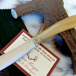 SARDINIAN ARTISAN KNIFE corrina in ancient scanno or mozzetta style, ram horn handle, with guarantee certificate, gift idea