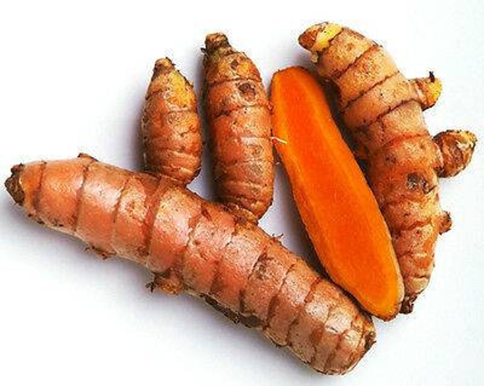 Fresh Turmeric Root Lbs Etsy