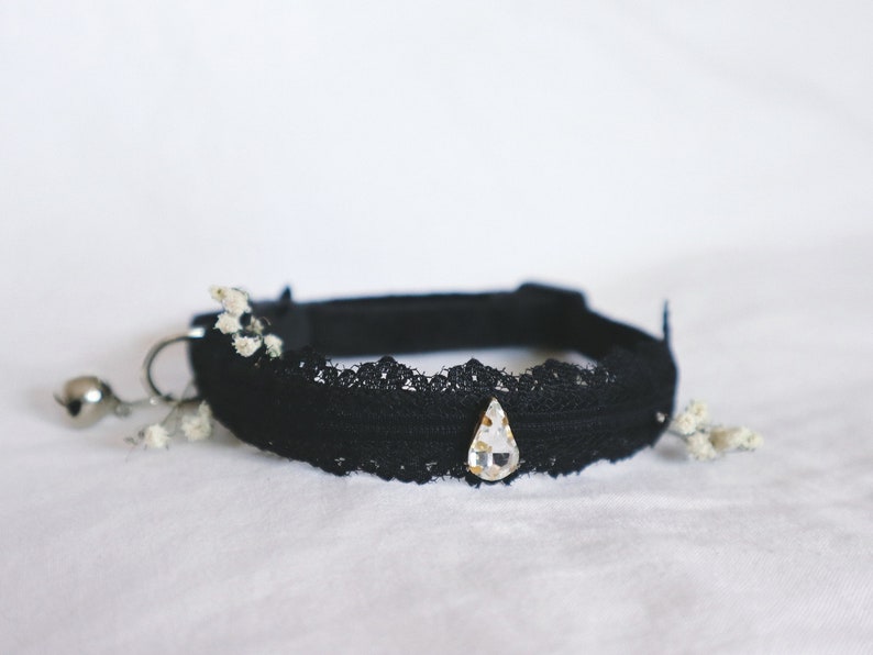 victorian cat collar