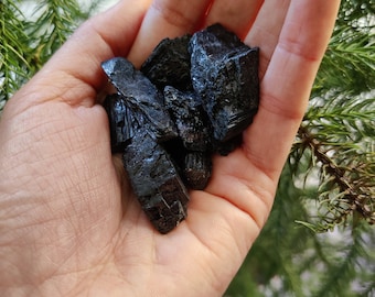 Può includere: Un pugno di cristalli di turmalina nera, noti anche come schorl, nel palmo di una mano. I cristalli sono ruvidi e hanno un aspetto scuro e opaco.