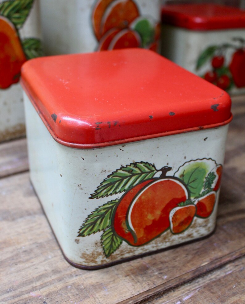 Kitchen Canisters Food Canister Set of 4 Fruity Cuties From Etsy