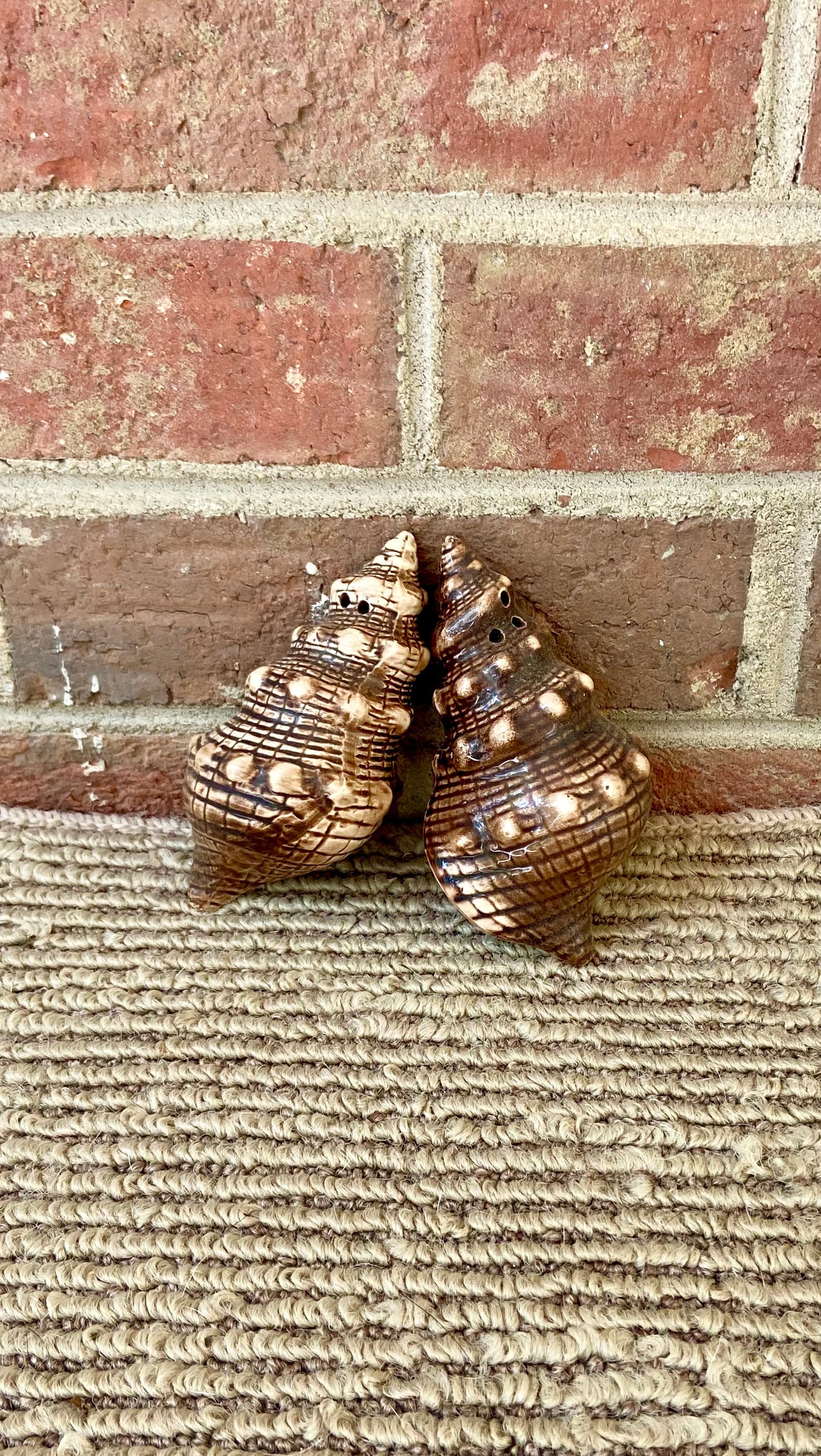 Salt and Pepper Shakers Conch Sea Shell ceramic shakers from Etsy