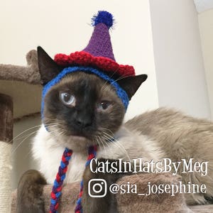 Custom Color Party Hat for Cats