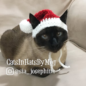 Santa Hat for Cats