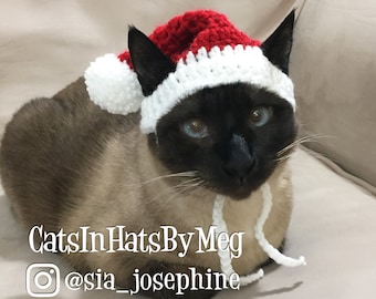 Santa Hat for Cats