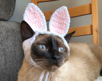 Bunny Ears For Cats Etsy Kevin cat ears luu is a league of legends esports player, previously support for want 2 be monke. bunny ears for cats etsy