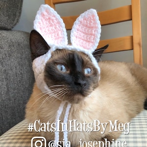 Bunny Rabbit Ear Hat for Cats