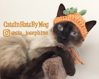 pumpkin cat hat etsy