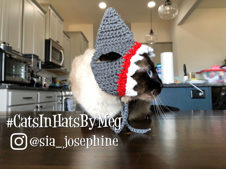 Shark Hat for Cats Etsy