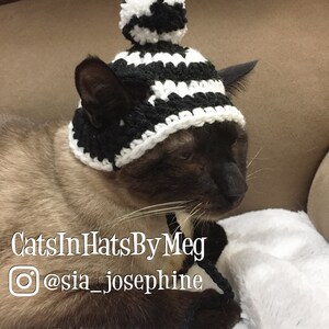 Striped Beanie Hat for Cats