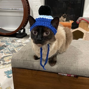 Evil Eye Nazar Beanie Hat for Cats