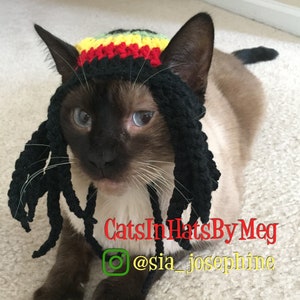 Rasta Hat for Cats