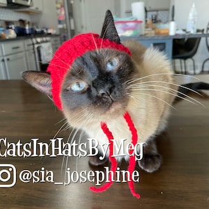 Beanie Hat for Cats