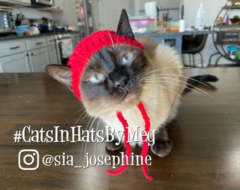 May include: A Siamese cat wearing a red knitted hat with a long string. The cat is looking at the camera. The background is a kitchen with white cabinets and a wooden countertop. The text on the image reads: #CatsInHatsByMeg @sia_josephine