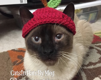 Apple Hat for Cats - Etsy