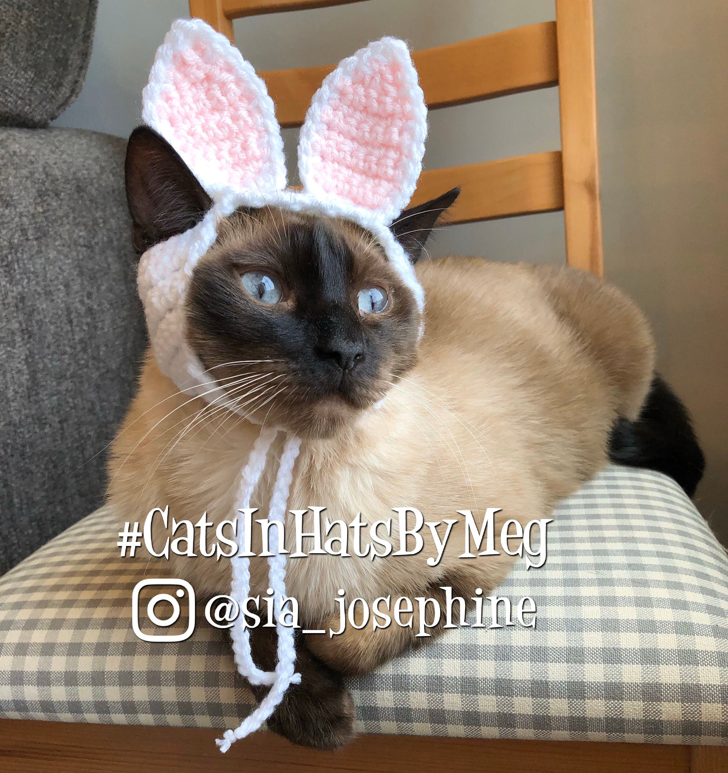 Cat with cheap bunny ears