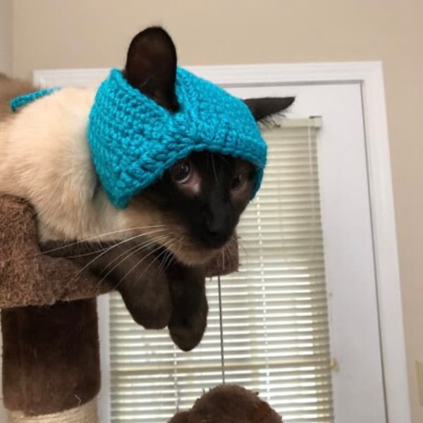 Padded Hat for Wobbly Cats