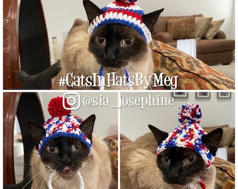 4th of July Beanie Hat for Cats