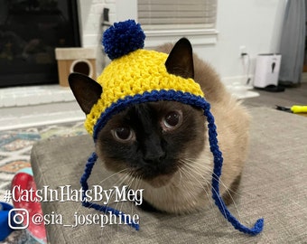 Custom Sports or School Team Colors Beanie Hat for Cats