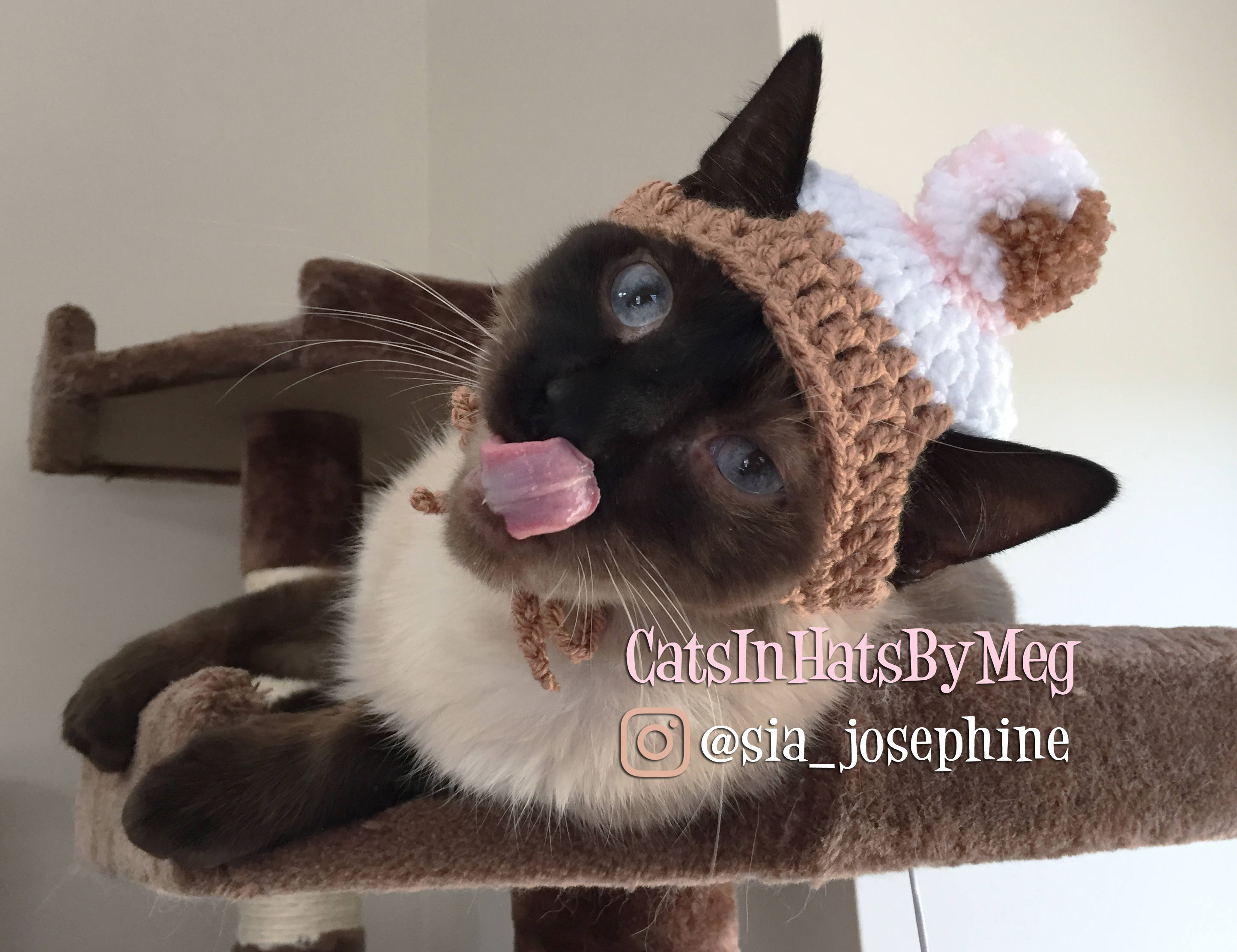 Neapolitan Ice Cream Hat for Cats Etsy