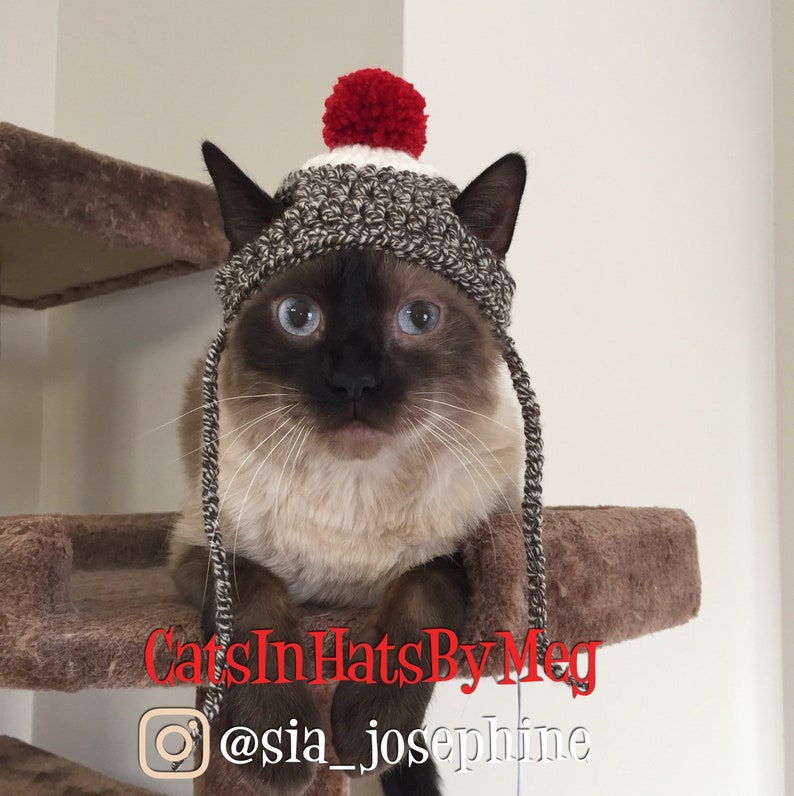 Sock Monkey Hat for Cats Etsy