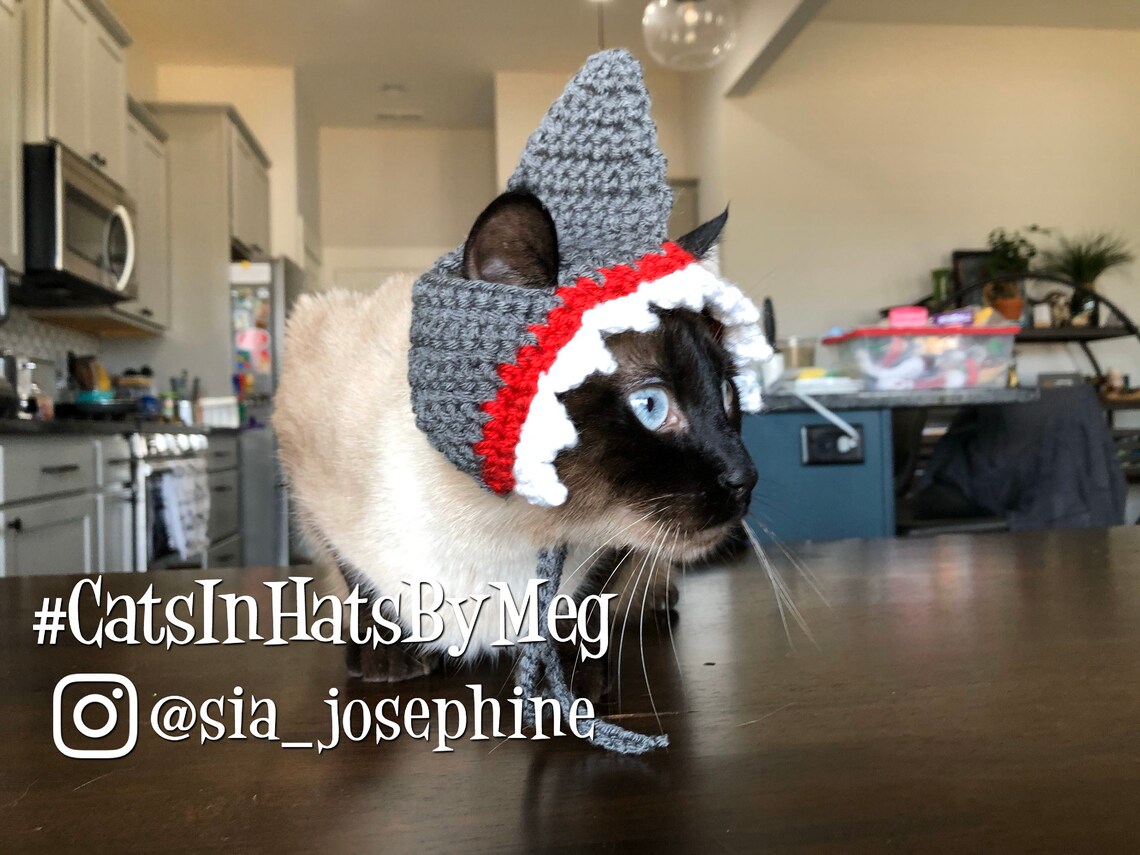 Shark Hat for Cats Etsy