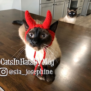 Devil Hat for Cats