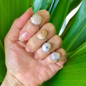 Puka Shell Rings