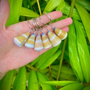 May include: A set of six seashell keychains with silver key rings. The seashells are a light yellow color with brown stripes and a purple hue at the tip.