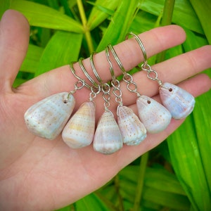 May include: Six white seashell keychains with silver key rings. The seashells are cone-shaped and have brown and white markings.