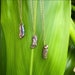 see more listings in the Necklaces~ Gold  section