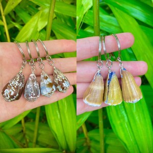 May include: Four shell keychains with silver key rings. The shells are brown, white, and blue with a pearlescent finish.