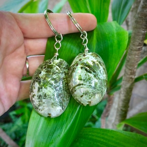 May include: Two green abalone shell keychains with silver key rings. The shells are oval shaped and have a pearlescent sheen.