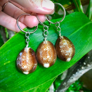 Llaveros Snakehead Cowrie Shell para todos los tiradores de cremallera. Etiquetas de maleta.