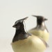 see more listings in the Decorative Birds section