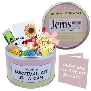 Kit di sopravvivenza per San Valentino in lattina / Divertente regalo romantico e biglietto d'auguri per lei, fidanzata, promessa sposa, moglie, partner, amica / Regalo unico per San Valentino