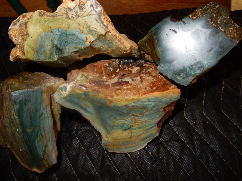 Agatized Petrified Gary Green Bog Wood Etsy