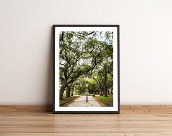 Charleston Battery Print, South Carolina Wall Decor. Unframed.