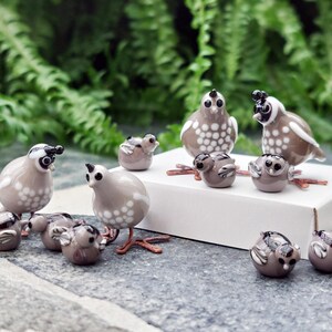 Gamble quail - Etsy 日本
