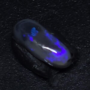 May include: An oval-shaped black opal gemstone featuring a smooth, polished surface with vibrant, iridescent flashes of electric blue and violet light distributed across its dark, semi-translucent body, showcasing a natural play of color.