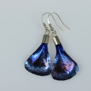 titanium earrings