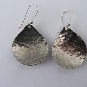 titanium earrings